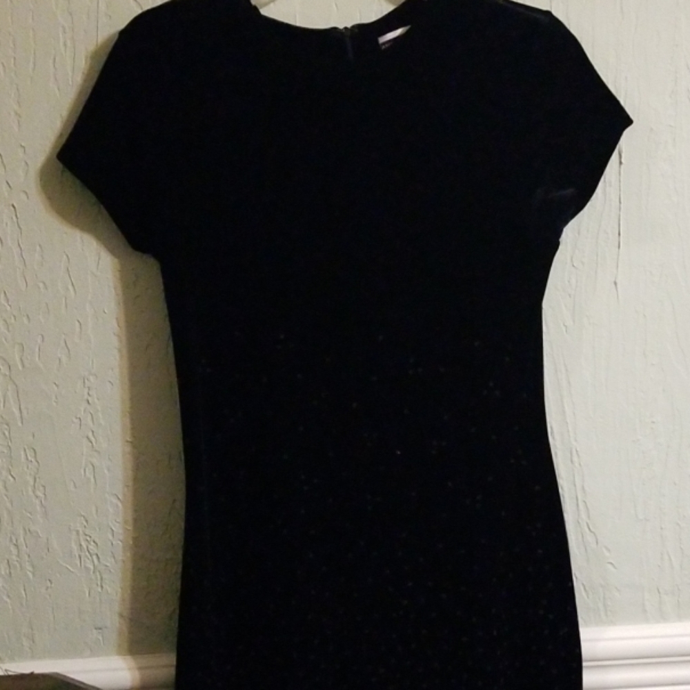 Amanda Smith Petites Dress